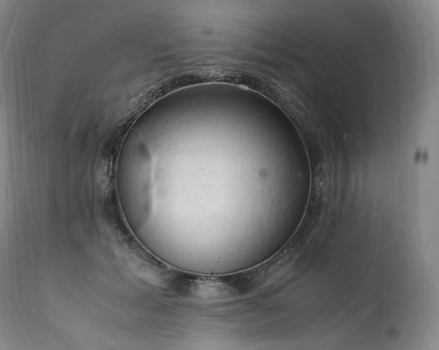 X0000111950605200907271438