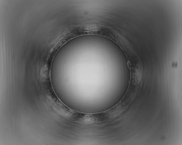 X0000111950608200907271438