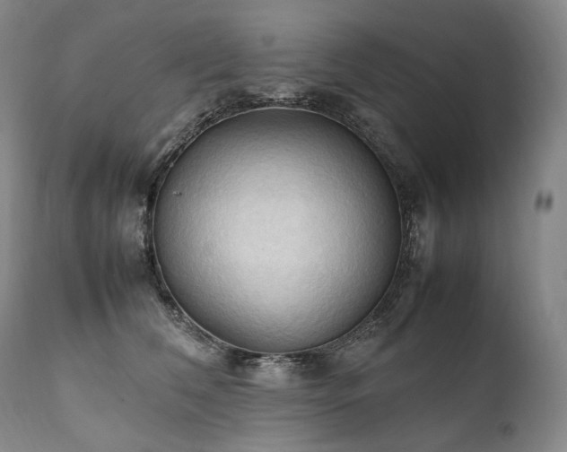 X0000111950612200907271438