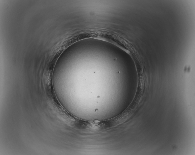 X0000111950613200907271438