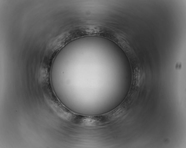 X0000111950614200907271438