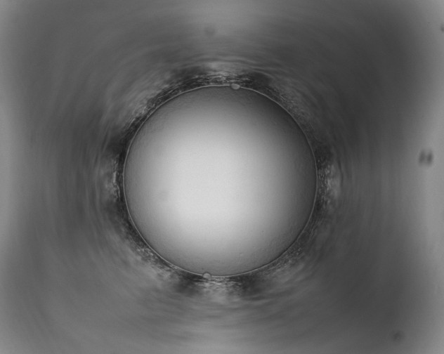 X0000111950615200907271438