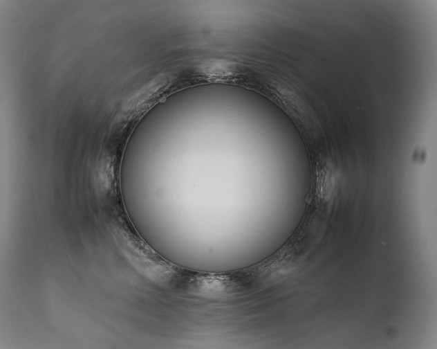 X0000111950618200907271438