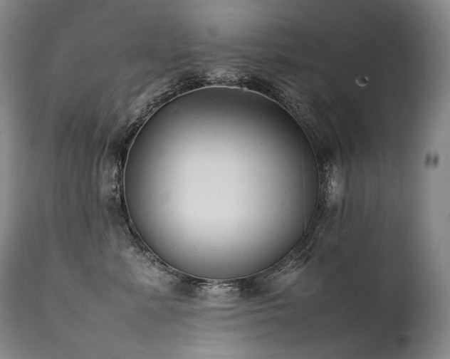 X0000111950619200907271438