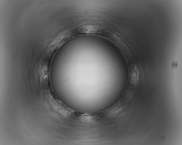 X0000111950620200907271438