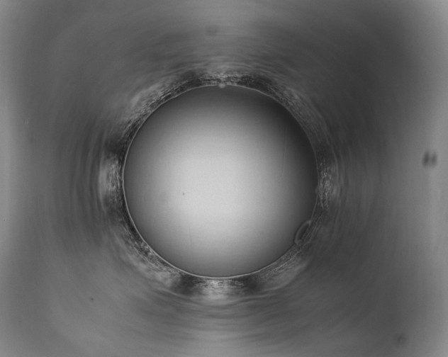 X0000111950623200907271438