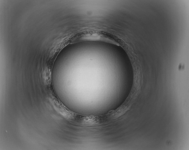 X0000111950624200907271438