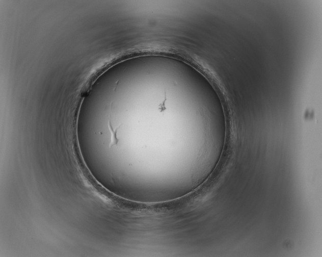 X0000111950625200907271437