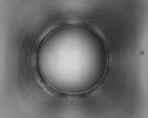 X0000111950626200907271437