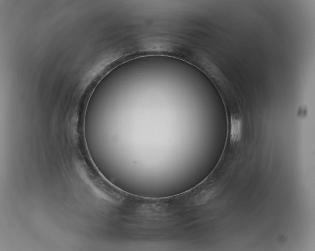 X0000111950627200907271437