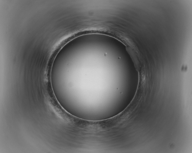 X0000111950628200907271437