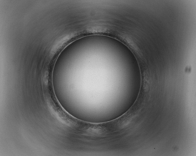 X0000111950631200907271437