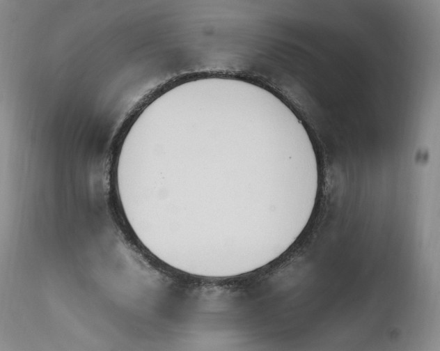 X0000111950632200907271437