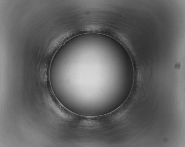X0000111950633200907271437