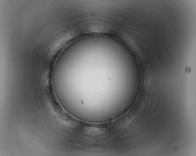 X0000111950635200907271437