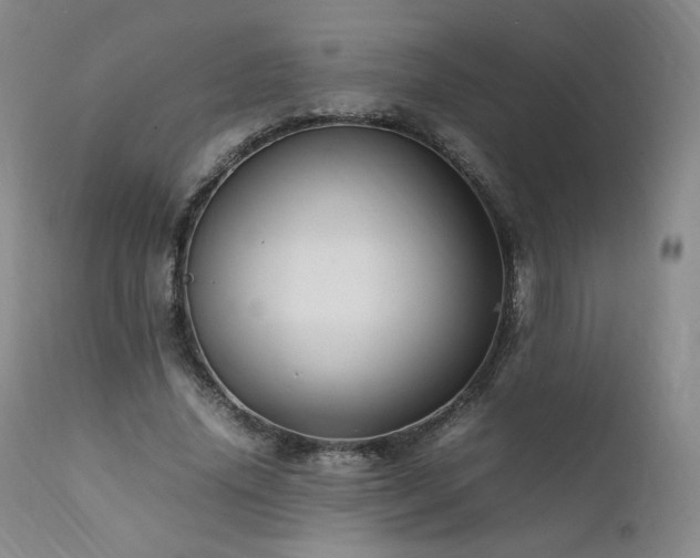 X0000111950636200907271437