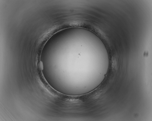 X0000111950637200907271437