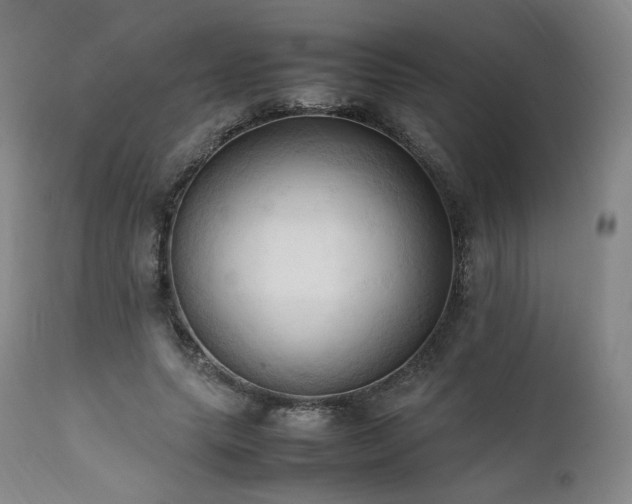 X0000111950639200907271437