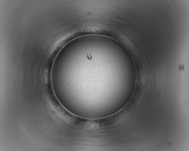 X0000111950640200907271437