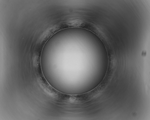 X0000111950641200907271437