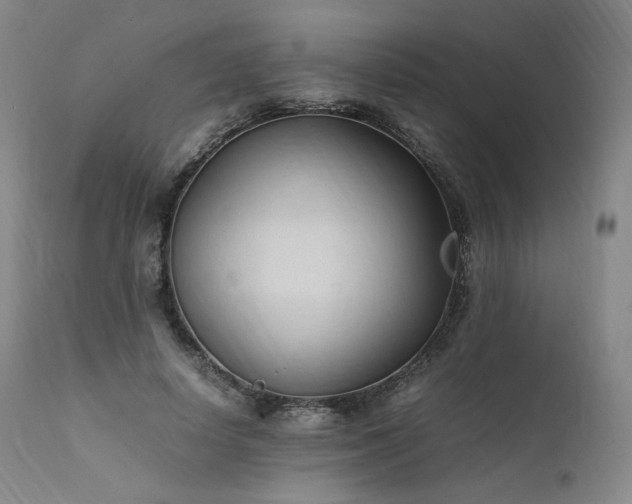 X0000111950642200907271437