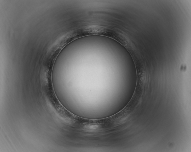 X0000111950643200907271437