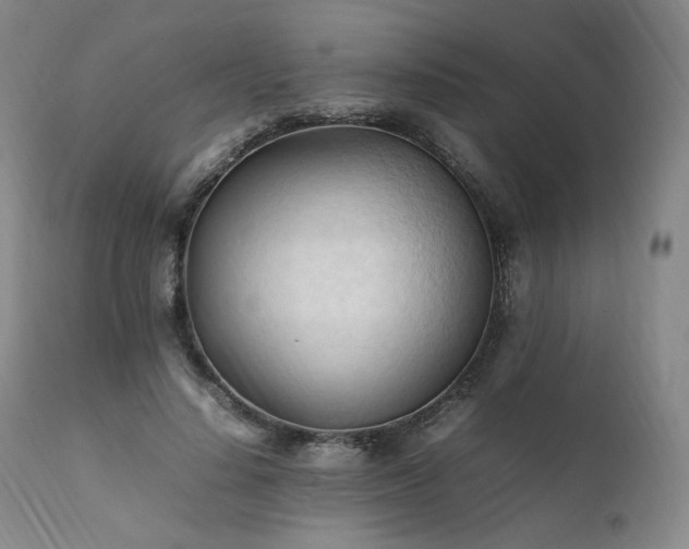 X0000111950644200907271437