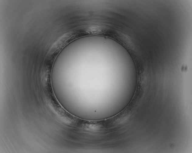 X0000111950645200907271437