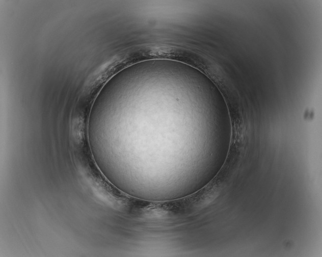 X0000111950648200907271438