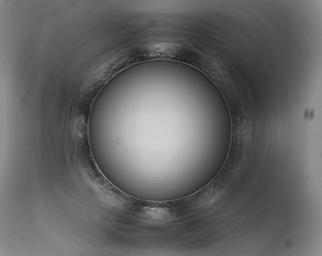 X0000111950649200907271438
