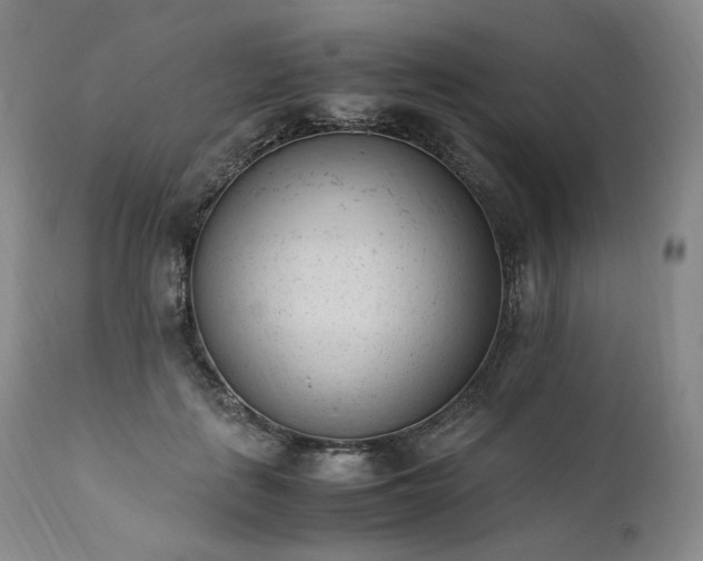 X0000111950651200907271438