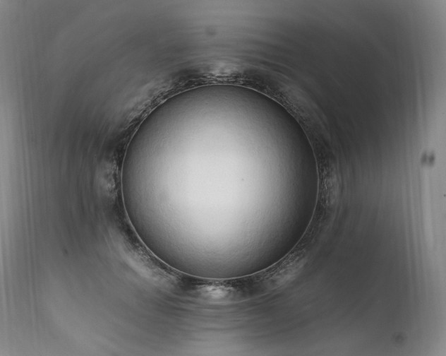 X0000111950654200907271438