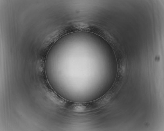 X0000111950658200907271438