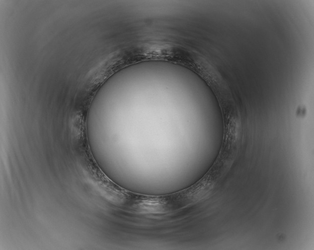 X0000111950659200907271438