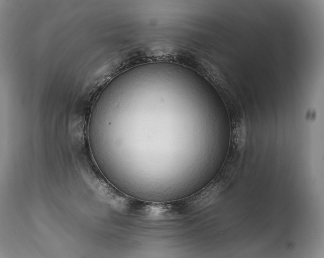 X0000111950662200907271438
