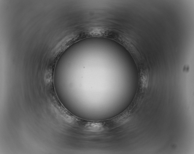 X0000111950665200907271438