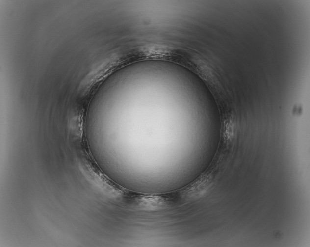 X0000111950666200907271438