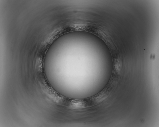 X0000111950667200907271438