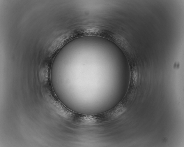 X0000111950668200907271438