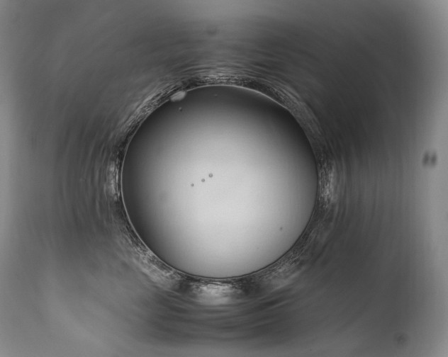 X0000111950669200907271438
