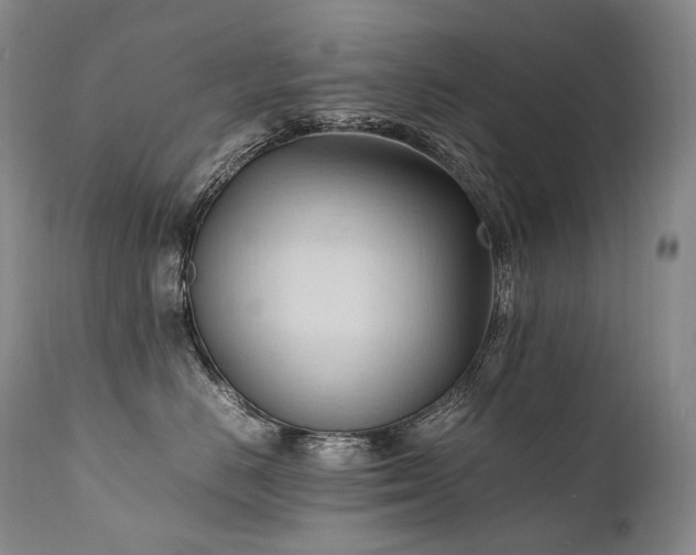 X0000111950670200907271438