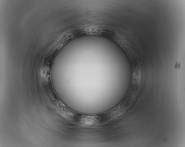 X0000111950671200907271438