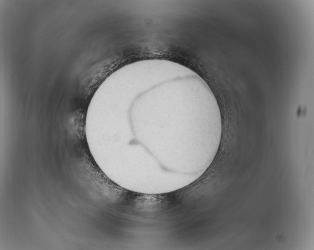 X0000111950672200907271438