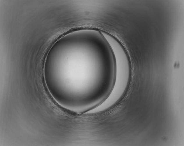 X0000111950673200907271437