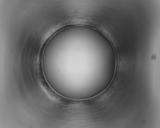 X0000111950674200907271437
