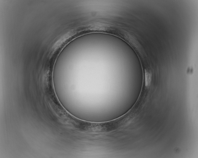 X0000111950675200907271437