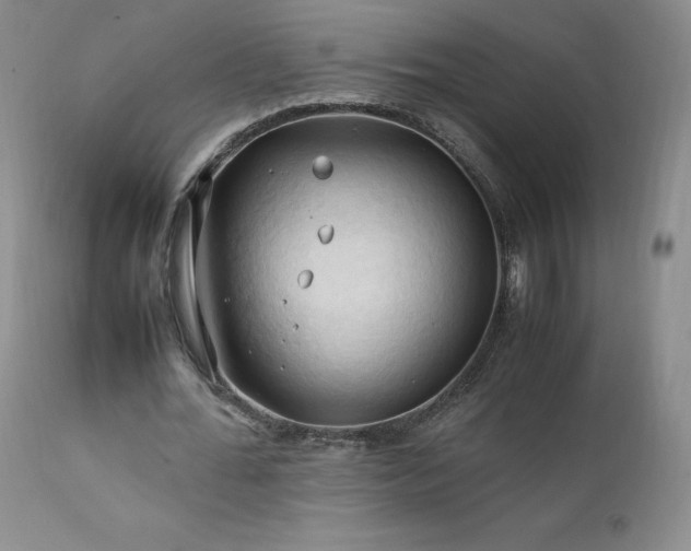 X0000111950676200907271437