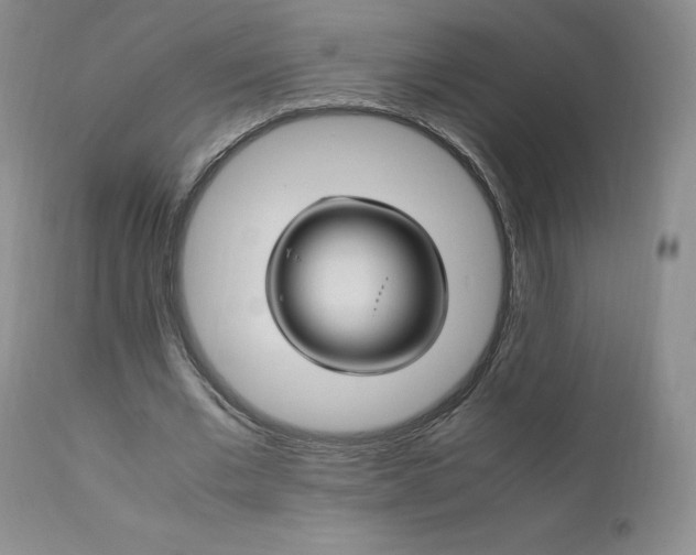 X0000111950677200907271437