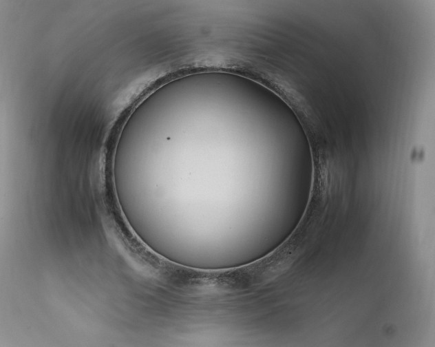 X0000111950678200907271437