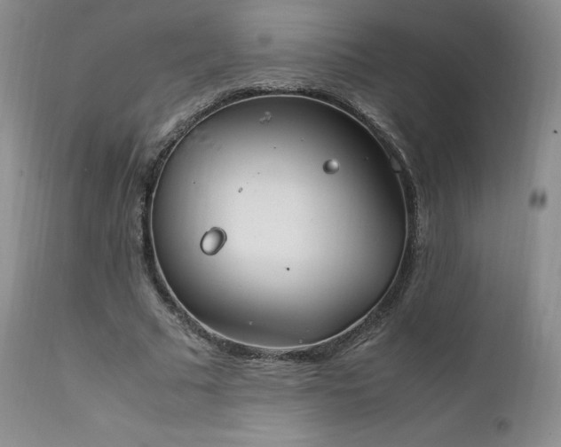 X0000111950681200907271437